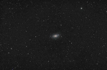 M63_NGC5055, 2025-04-25, 8x200R 8x200G 8x200B 18x200L, APO100Q, (Red Green Blue Luminance), Toupcam corrected_bin2x2.jpg